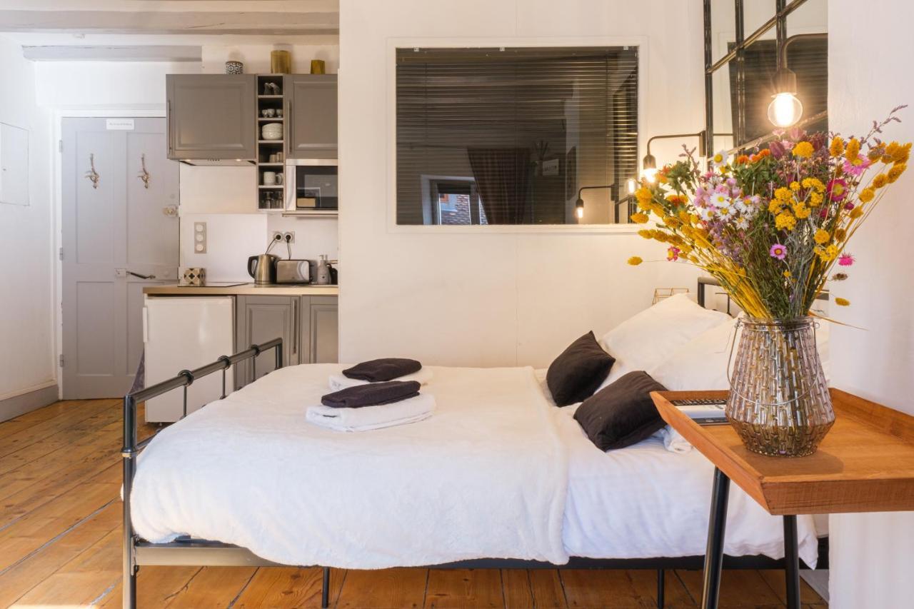 Au Grey D'Annecy, Studio Cosy Au Coeur De La Ville エクステリア 写真